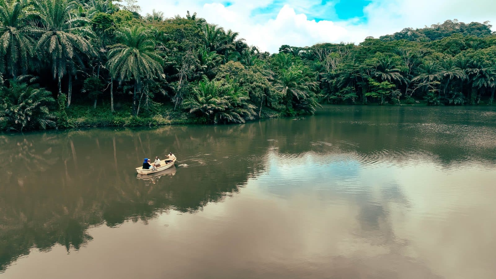 Magoroto Forest — photo 2
