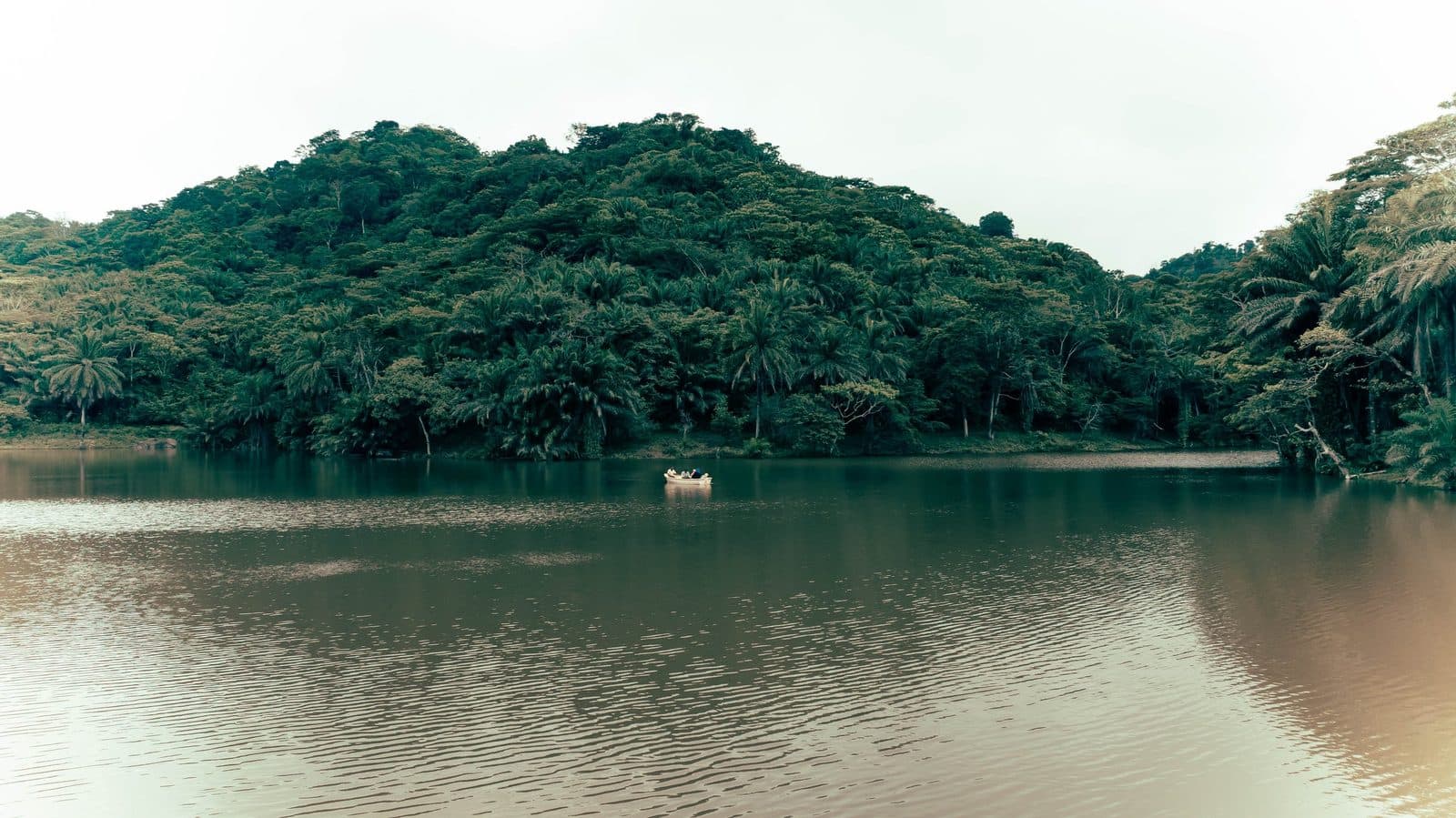 Magoroto Forest — photo 4